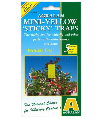 Agralan Mini Yellow Sticky Traps To Catch Flying Insect Pests Pack Of 5 