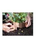 Copper Slug & Snail bands organic protection of plants and vegetables
